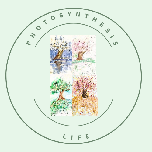 Welcome to Photosynthesis Life: